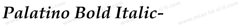 Palatino Bold Italic字体转换